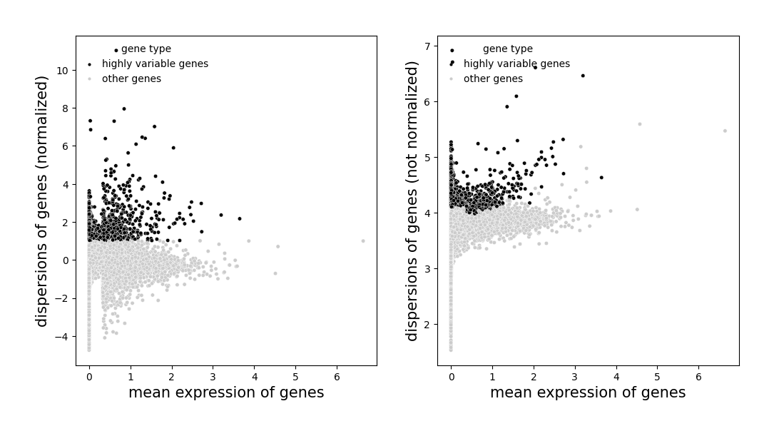 ../_images/Tutorials_CellBin_Clustering_43_2.png