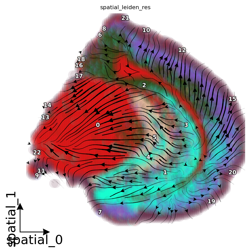 ../_images/Tutorials_RNA_Velocity_14_1.png