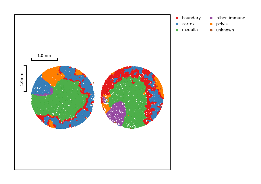 ../_images/Tutorials%28Multi-sample%29_Comparative_Analysis_21_3.png