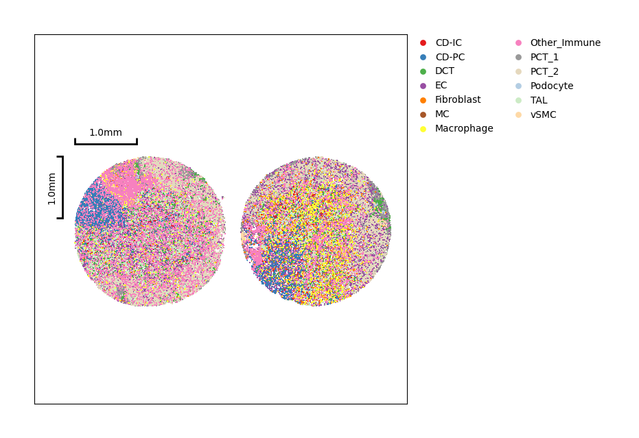 Comparative Analysis - Stereopy