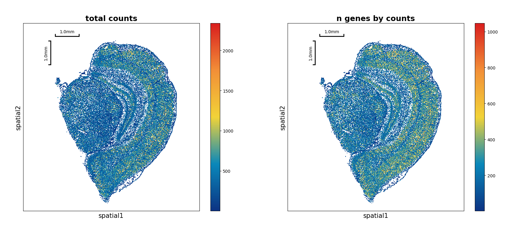 ../_images/Tutorials_CellBin_Clustering_21_2.png