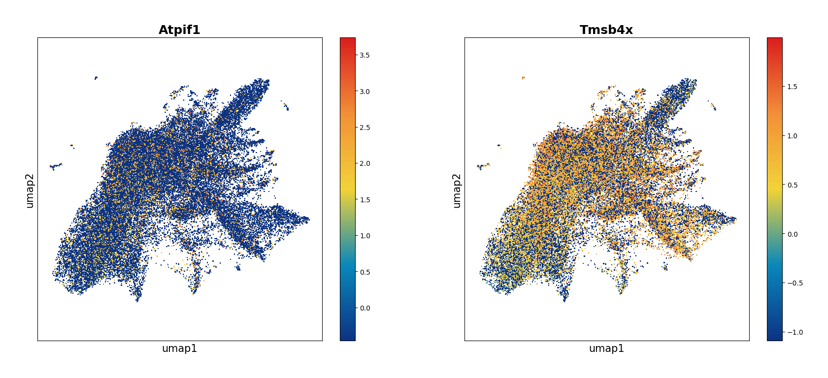 ../_images/Tutorials_CellBin_Clustering_61_2.png
