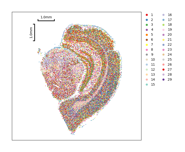 ../_images/Tutorials_CellBin_Clustering_70_2.png
