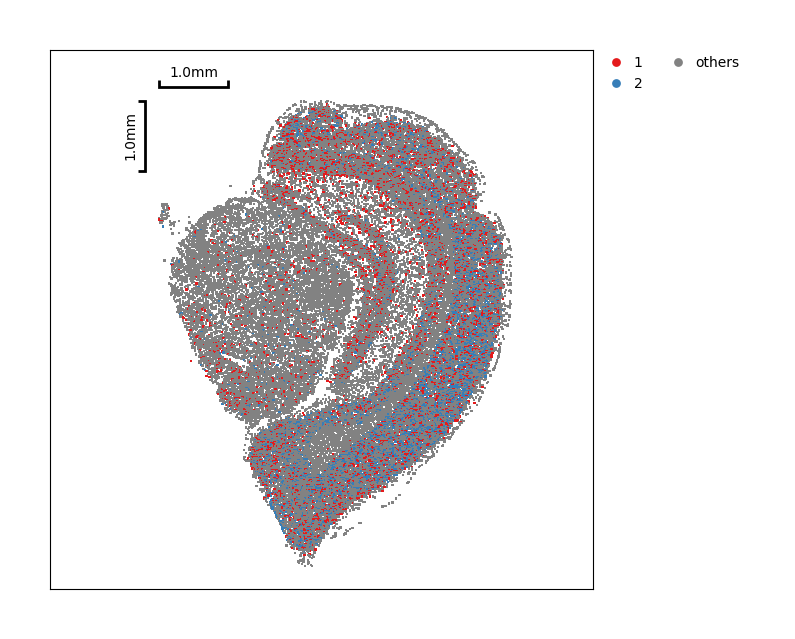 ../_images/Tutorials_CellBin_Clustering_72_2.png