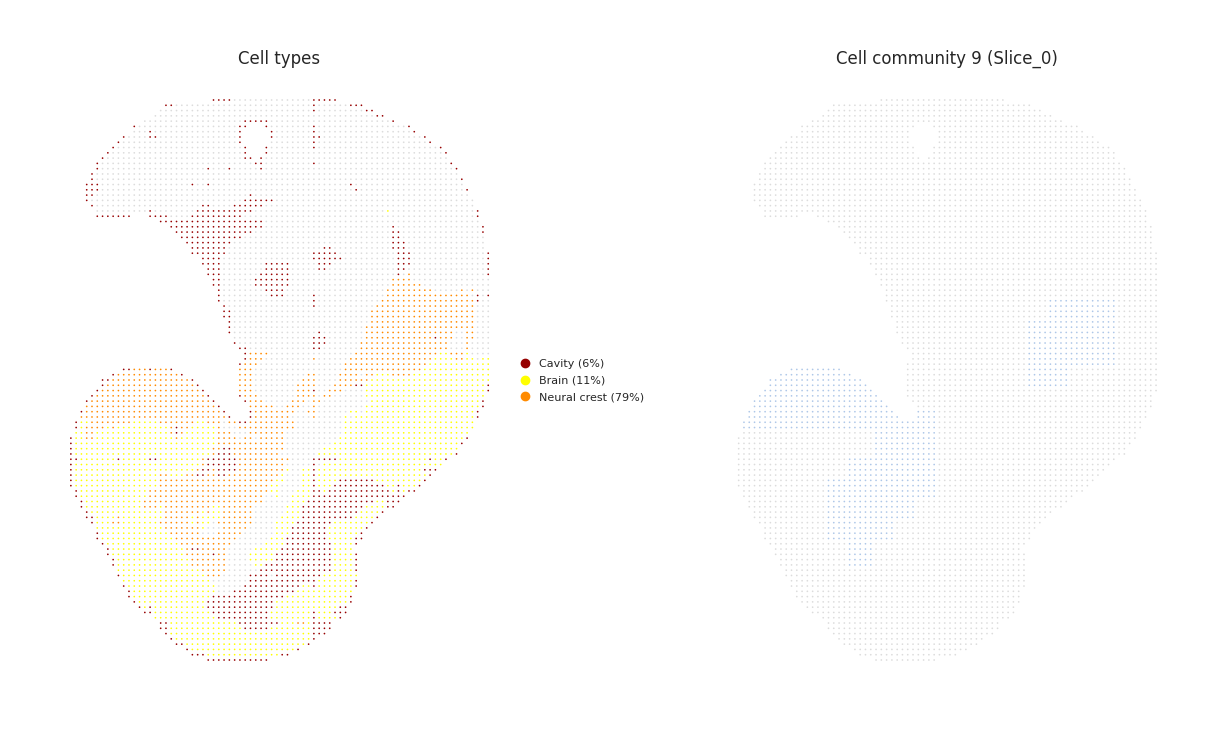 ../_images/Tutorials_Cell_Community_Detection_26_1.png