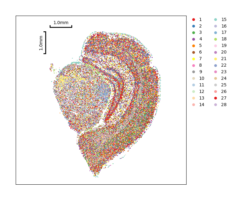 ../_images/Tutorials_CellBin_Clustering_89_2.png