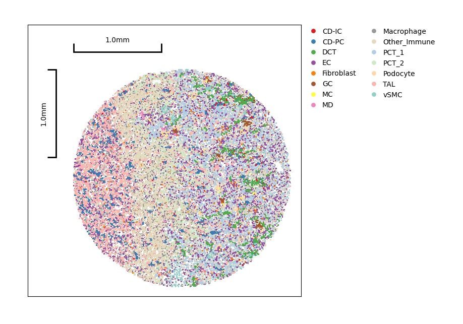../_images/Tutorials_Cell_Co_Occurrence_7_2.png