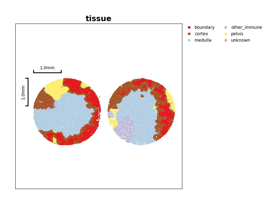 Comparative Analysis - Stereopy