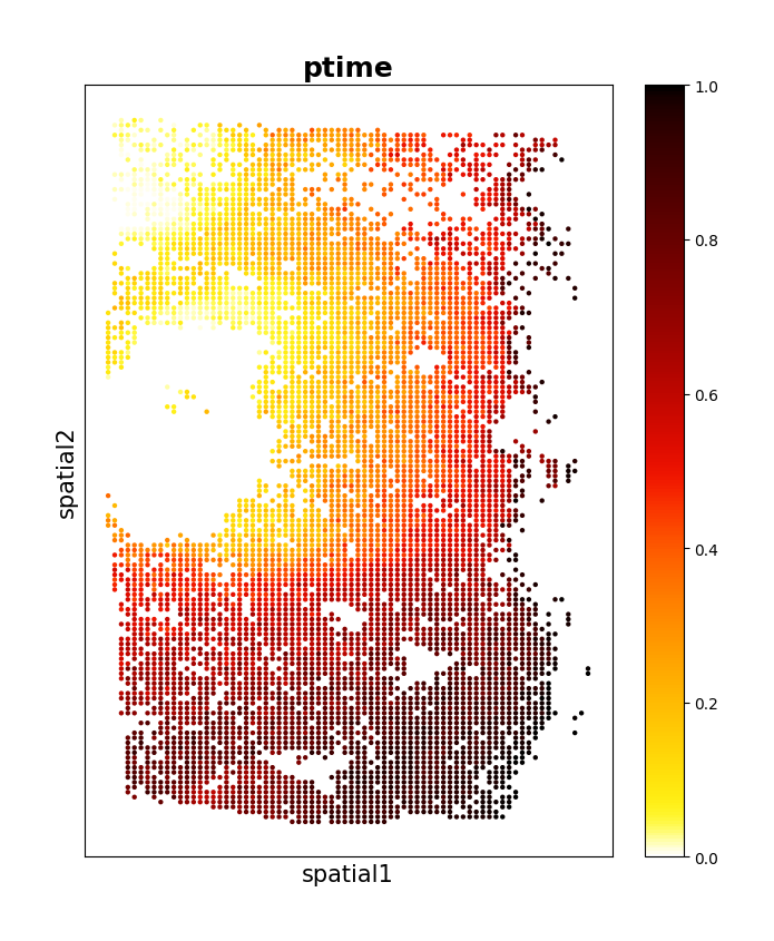 ../_images/Tutorials_Apply_spaTrack_on_spatial_data_of_Intrahepatic_cholangiocarcinoma_cancer_24_2.png