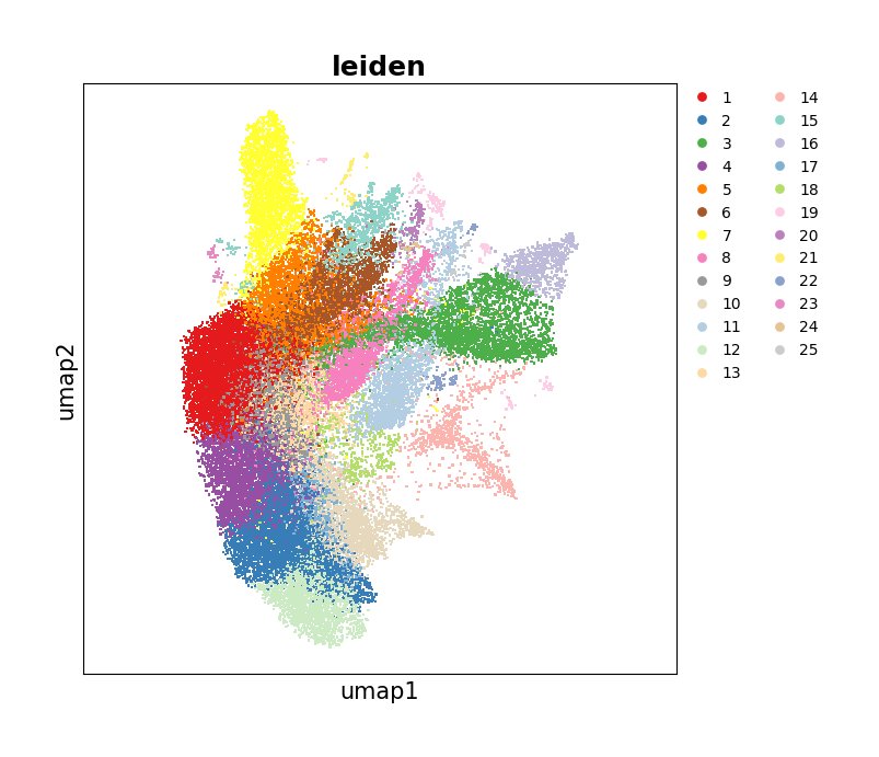 ../_images/Tutorials_CellBin_Clustering_76_2.png