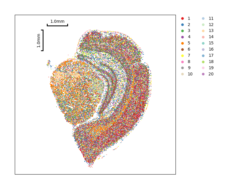 ../_images/Tutorials_CellBin_Clustering_83_2.png