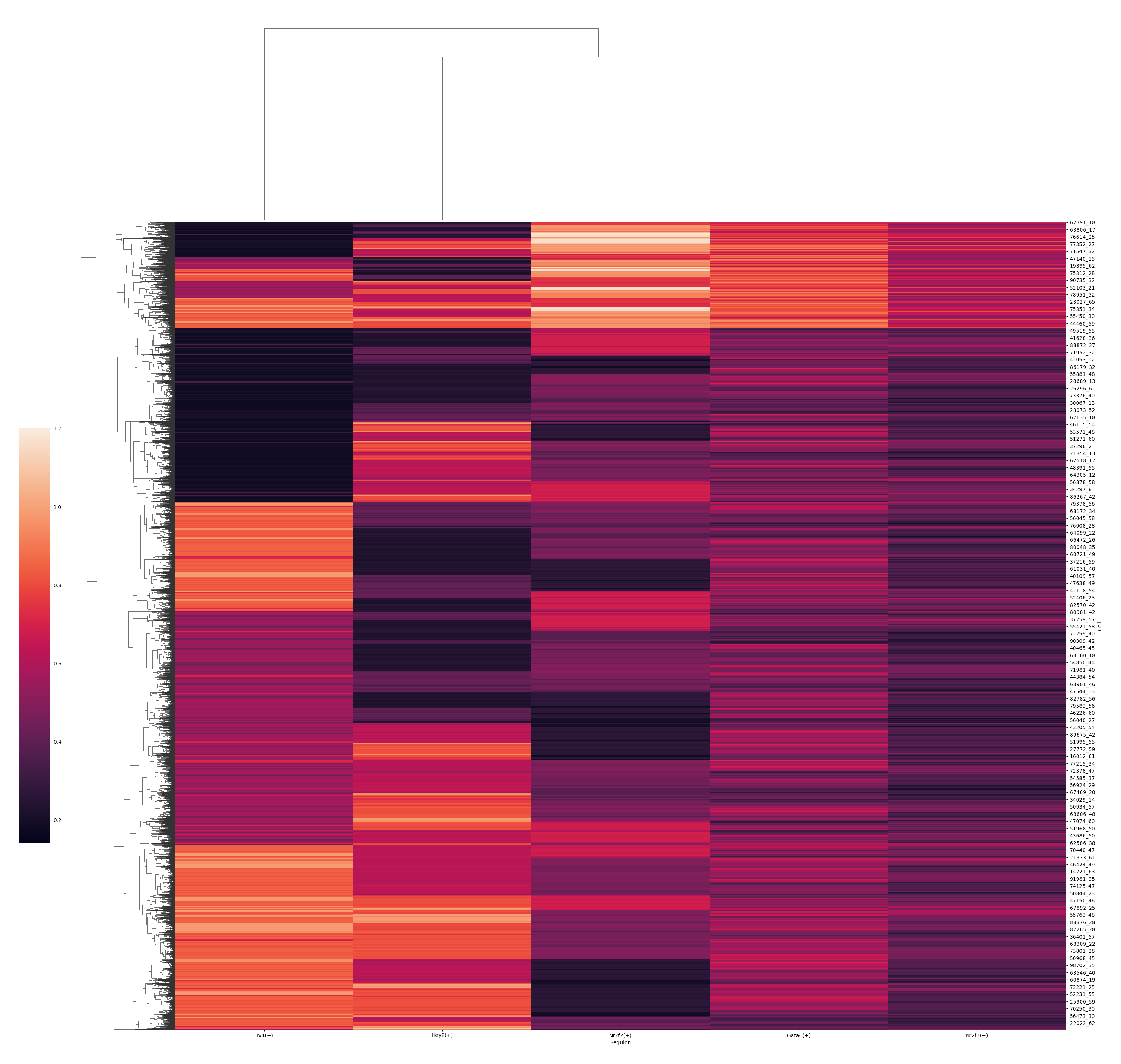 ../_images/Tutorials_Gene_Regulatory_Network_17_2.png