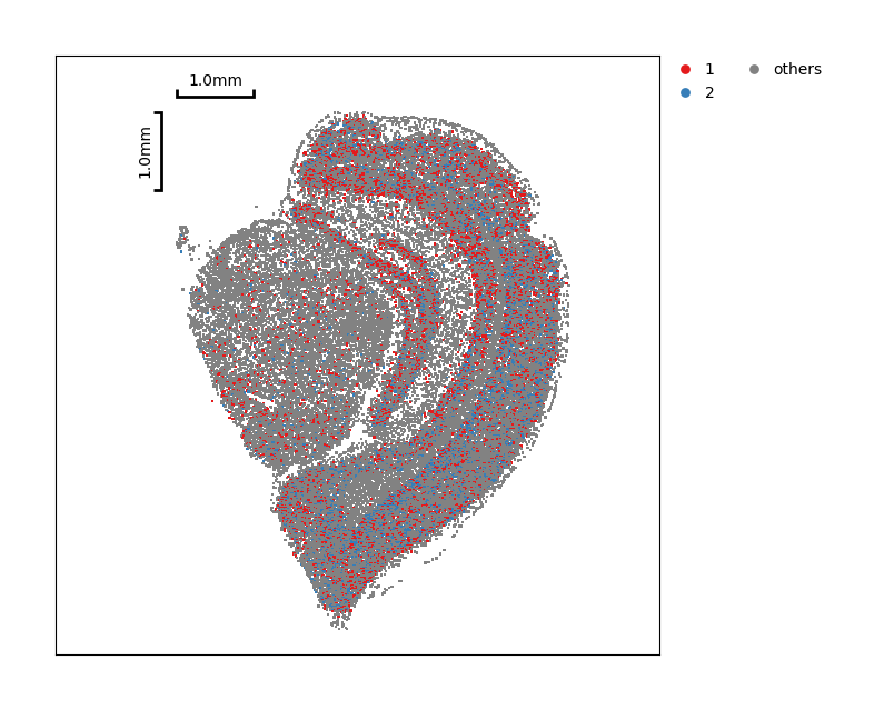 ../_images/Tutorials_CellBin_Clustering_72_2.png