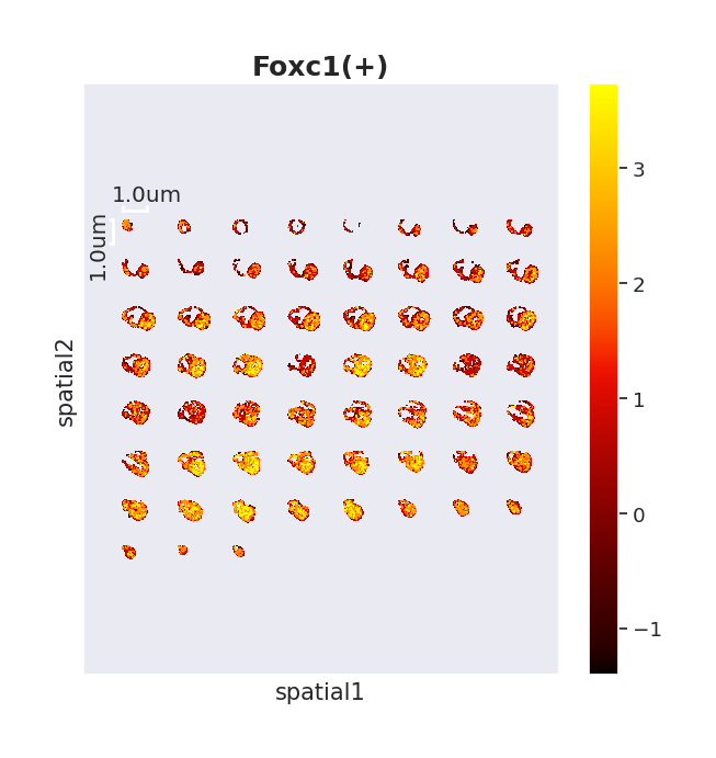 ../_images/Tutorials%28Multi-sample%29_3D_Gene_Regulatory_Network_37_3.png